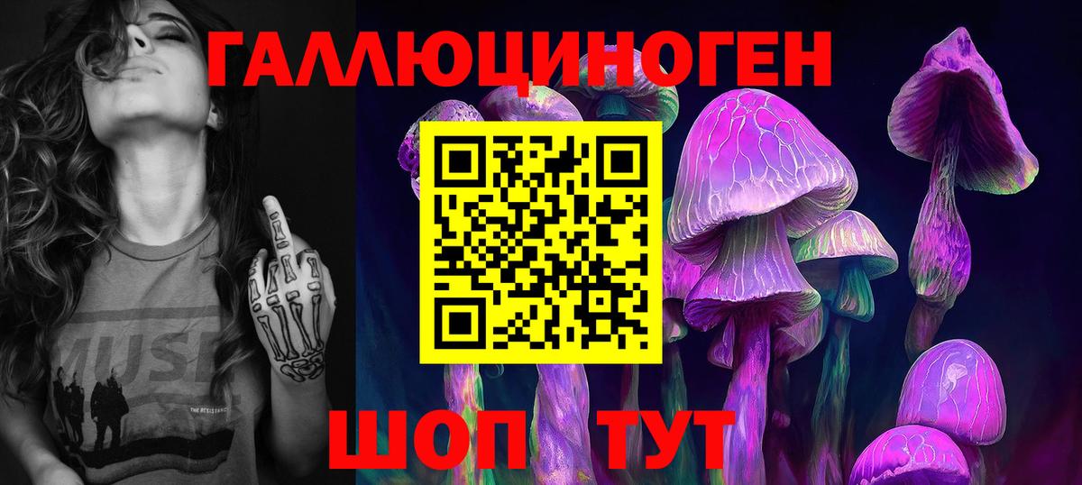 Балашов  Галлюциногенные грибы мухоморы  Вход с VPN 