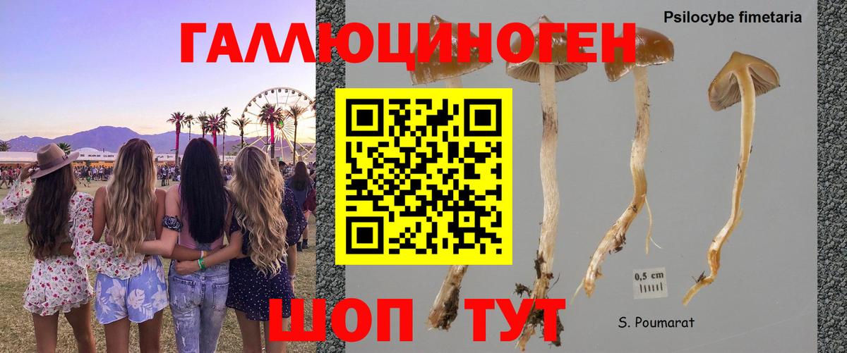 Галлюциногенные грибы GOLDEN TEACHER Балашов